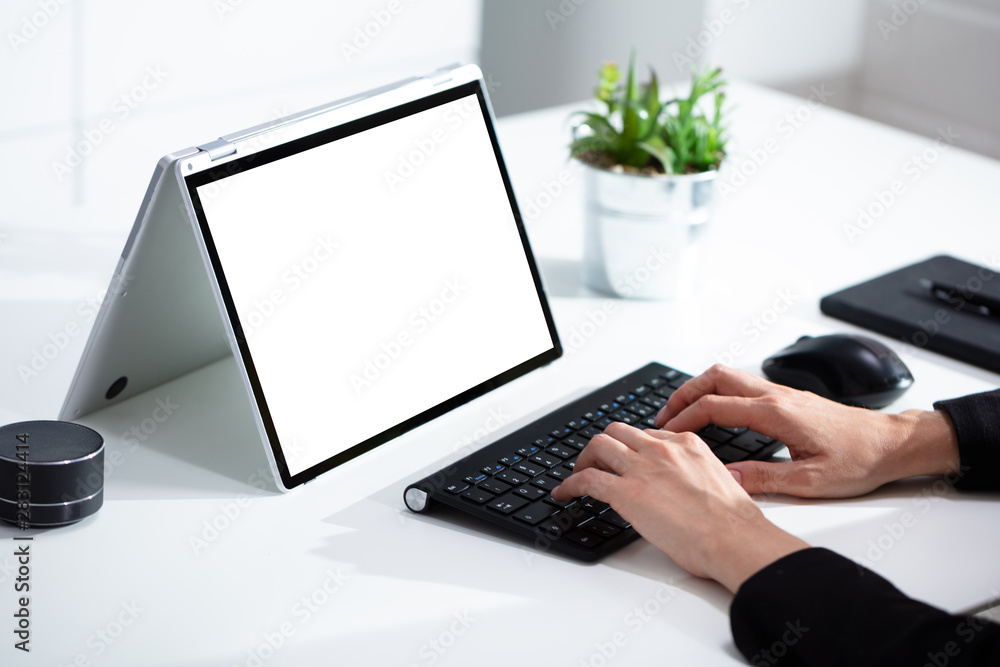 Fototapeta premium Businesswoman Working On Laptop