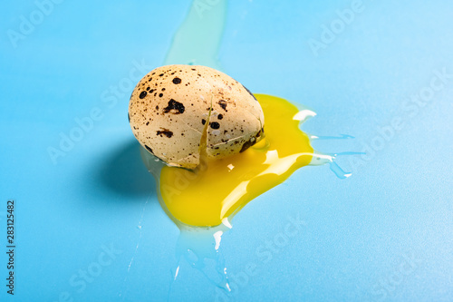 side view broken quail egg on blue background photo