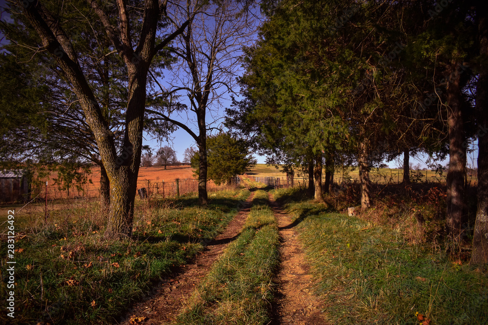 Fototapeta premium autumn in the park