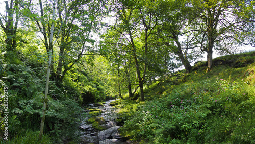 a hillside stream running over rocks in a small wooded valley surrounded by summer trees in jumble hole clough in west yorkshire