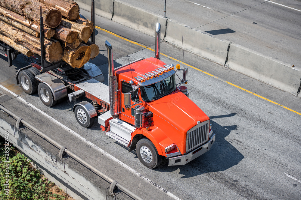 Powerful big rig orange semi truck transporting huge logs driving on wide divided highway Powerful big rig orange semi truck transporting huge logs driving on wide divided highway
