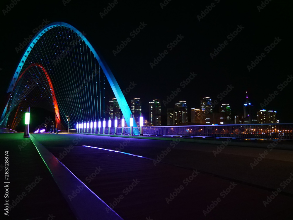 Fototapeta premium Daejeon Expo Bridge LED Skyline