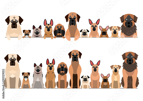 border set of black muzzle dogs