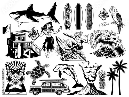 Summer paradise surfing vintage retro set