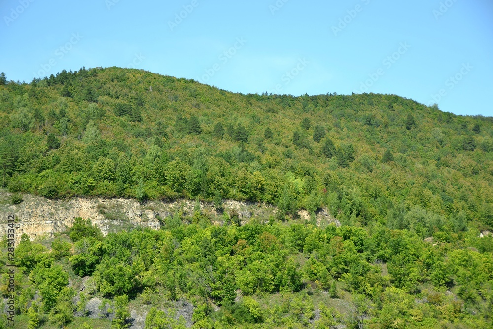 Dense thickets of deciduous forests on the rocky slopes of the ancient Zhiguli mountains Dense thickets of deciduous forests on the rocky slopes of the ancient Zhiguli mountains