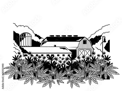 Cannabis natural farm print 
