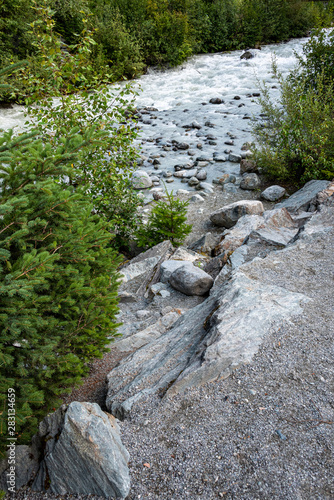 Landscape of glacier melt in Fitzsimmons Creek, mixed forest of deciduous and evergreen, Whistler BC Canada