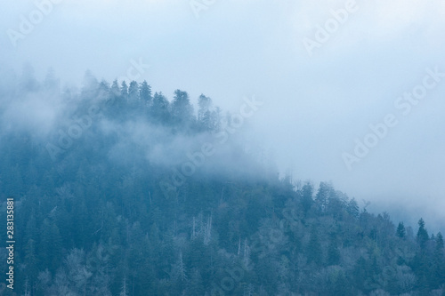 Mist and Smoke rises from the mountain in the early morning of eastern Tennessee. at Great Smoky Mountains National Park, Townsend, TN © PhyllisPhotos