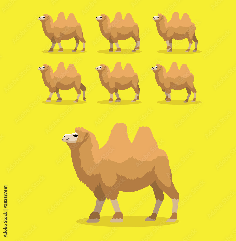 Fototapeta premium Camel Walking Animate Cartoon Vector Illustration