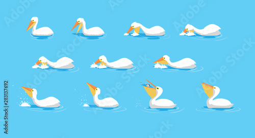 Animal Animation Sequence White Pelican Eating Cartoon Vector