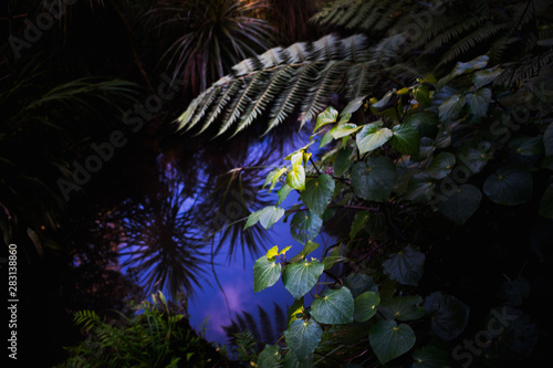 Wallpaper Mural Reflections Torontodigital.ca