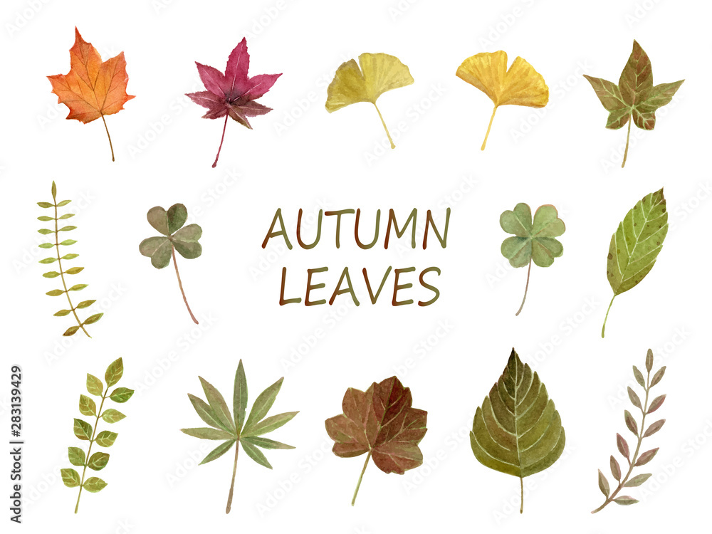 秋の葉　水彩イラストセット