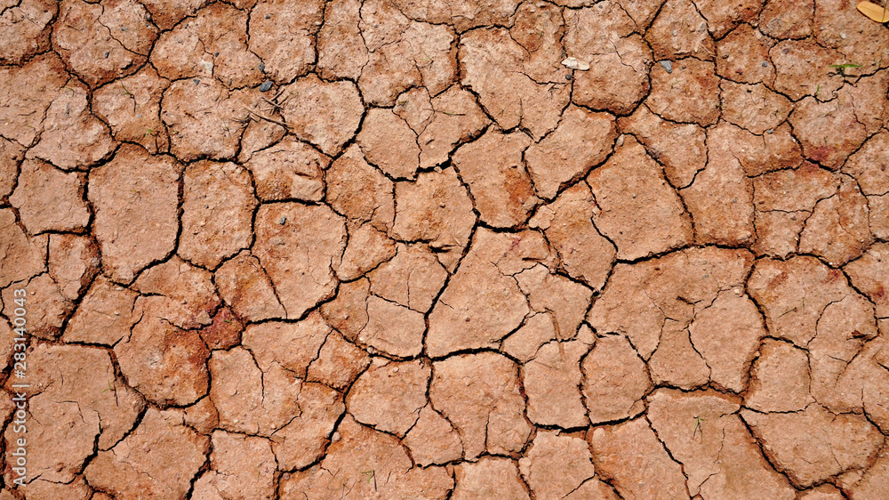Top view of dry soil. Background and texture. Top view of dry soil. Background and texture.