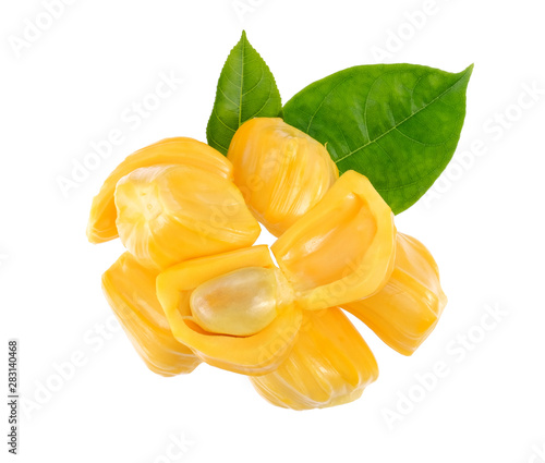  Jackfruit with jackfruit leaf, isolated on white background, Top view.