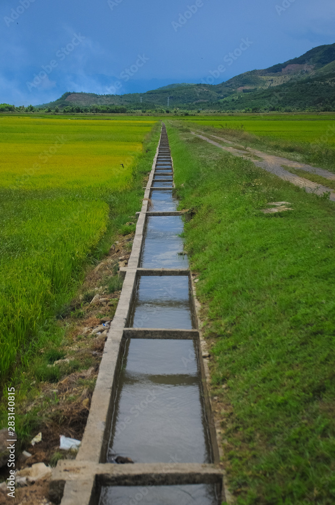 road,rice field and water drainage road,rice field and water drainage