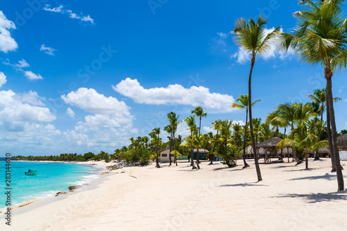 Beach with Palm Trees at Catalina Island in Dominican republic photo