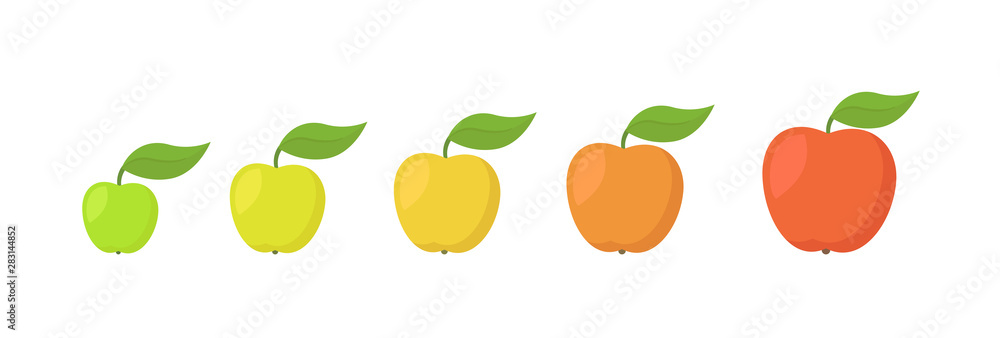Apple fruit ripeness stages chart. Colour and size, scale gradation set plant. From green to red gradient. Animation period progression.