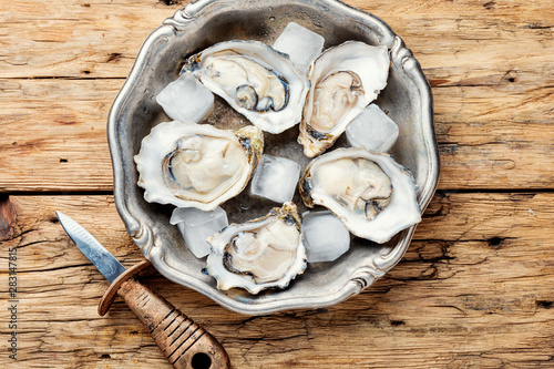 Opened oysters on metal plate