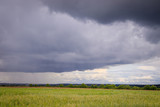 Summer field landscape. Russian open spaces. Before the storm. Dark rainy sky. Background Russian field before the rain.