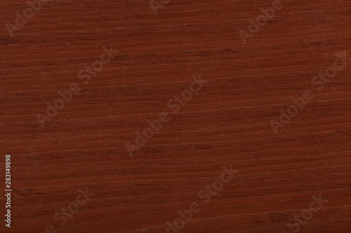 Perfect new natural red tree veneer background. High quality texture in extremely high resolution. 50 megapixels photo.