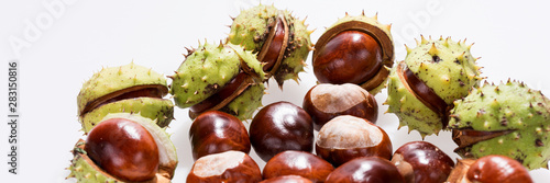 Chestnuts isolated on white, fruits chestnut, Aesculus hippocastanum. Panoramic image