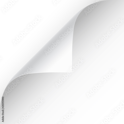 Curled page corner with shadow on transparent background. Blank sheet of paper. Vector illustration.