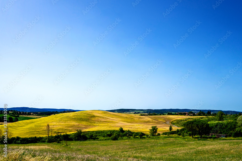 Fototapeta premium Golden autumn in Tuscany. Italy. Tuscany landscape. Europa. Summer, holiday, traveling concept.