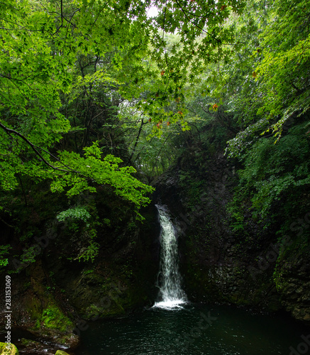 夏の滝 © Aveyasuhiro 