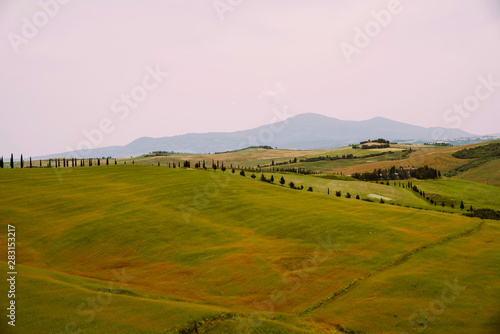 Tuscany  Italy. Tuscan hills during harvest period. Unique landscape with rolling hills. Travel. Beautiful destination. Vacation trip.