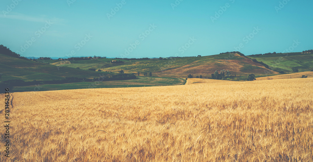 Tuscany, Italy. Tuscan hills during harvest period. Unique landscape with rolling hills. Travel. Beautiful destination. Vacation trip. Vintage tone filter effect with noise and grain.