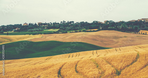 Beautiful autumn in Tuscany, Italy. Rural landscape. Countryside hills and meadows, green and yellow fields and sky. Eco tourism and travel concept. Vintage tone filter effect with noise and grain.