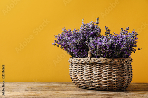 Basket with fresh lavender flowers on wooden table against yellow background. Space for text