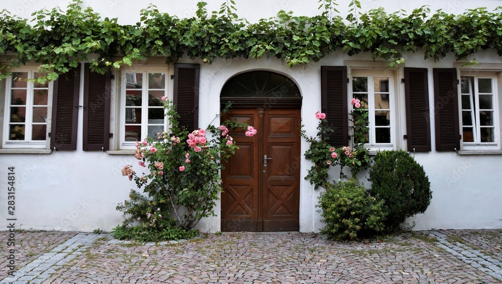 Close up of the front of a historical House with wild wine and roses