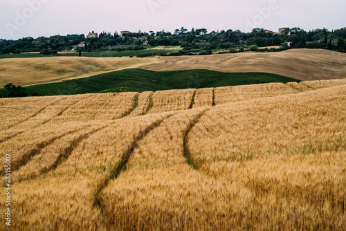 Beautiful autumn in Tuscany  Italy. Rural landscape. Countryside hills and meadows  green and yellow fields and sky. Eco tourism and travel concept. Beautiful world. Toned image.