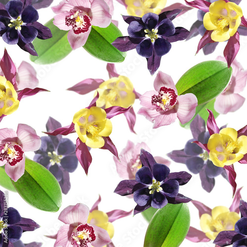 Beautiful floral background of Orchid and Aquilegia. Isolated