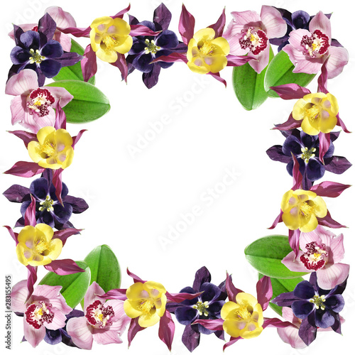 Wallpaper Mural Beautiful floral pattern of Orchid and Aquilegia. Isolated Torontodigital.ca