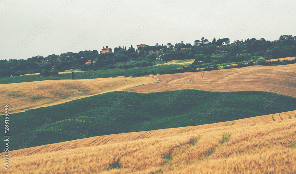 Beautiful autumn in Tuscany, Italy. Rural landscape. Countryside hills and meadows, green and yellow fields and sky. Eco tourism and travel concept. Vintage tone filter effect with noise and grain.