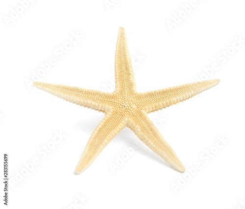 Beautiful starfish on white background. Beach object