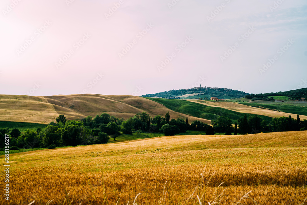Tuscany, rural sunset landscape. Countryside farm, cypresses trees, fields, sun light and cloud. Italy. Agro tour of Europe. Holiday outdoor vacation trip.