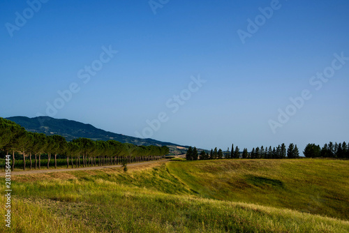 Beautiful landscape in Tuscany, Italy. Countryside with trees and cultivated land, vineyards, cypresses, poplars and farms.