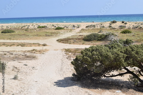 Cyprus Golden Beach  Wild Sea Side