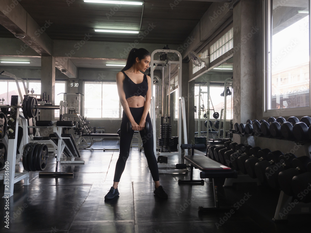 woman is exercising with a dumbbell in gym woman is exercising with a dumbbell in gym