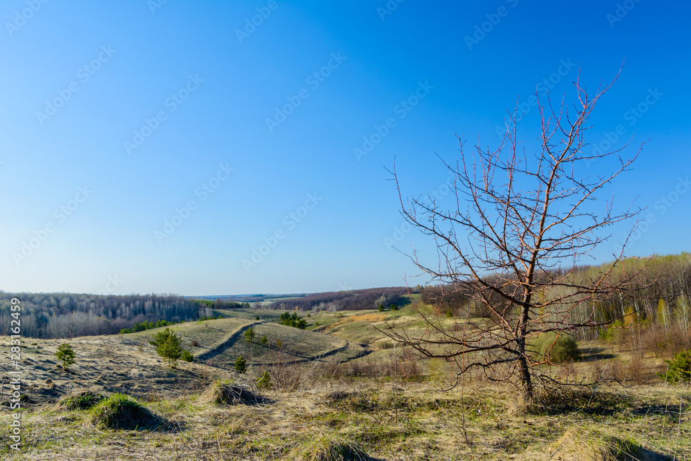 Beautiful spring landscape: trees, forest, mountains, hills, fields, meadows and blue sky.