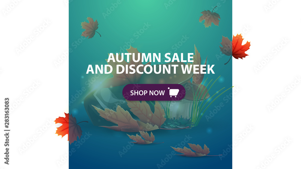 Autumn sale and discount week, horizontal blue discount web banner with mushrooms and autumn leaves