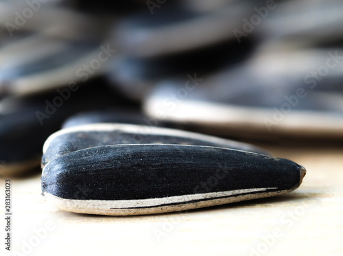 Macro of sunflower seed with blurred backaground photo