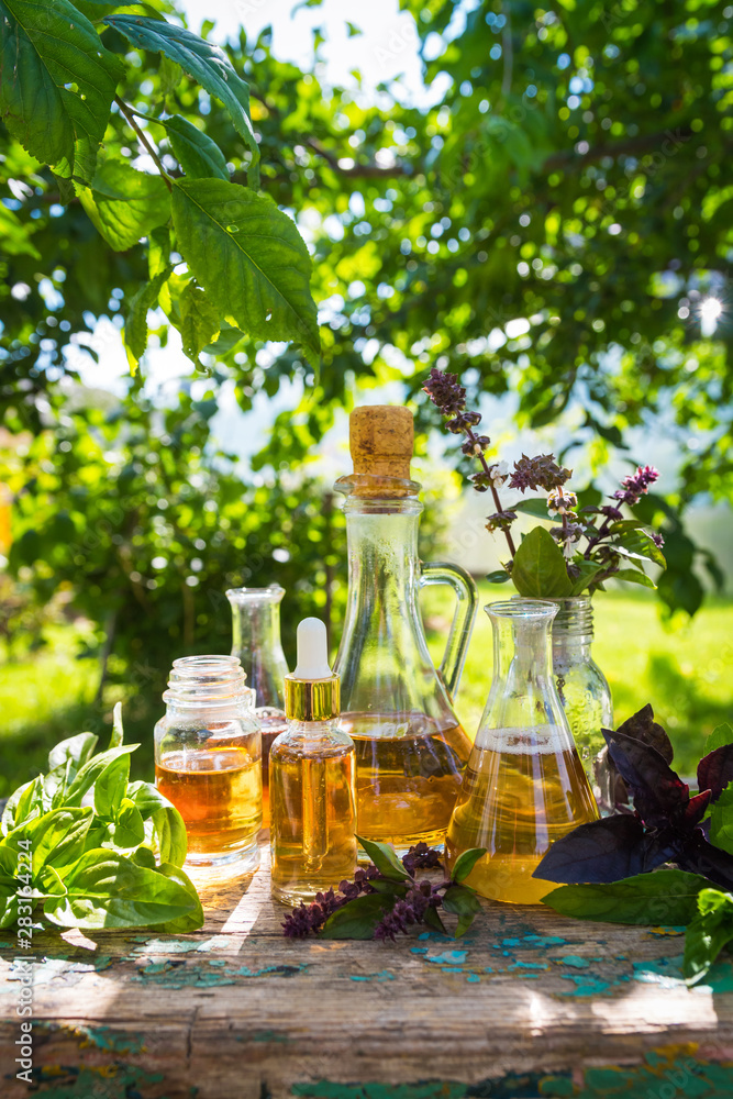 Oil for skin care, massage from natural ingredients, herbs, mint in glass jars and test tubes on a green background in the garden on the nature, natural cosmetics Oil for skin care, massage from natural ingredients, herbs, mint in glass jars and test tubes on a green background in the garden on the nature, natural cosmetics