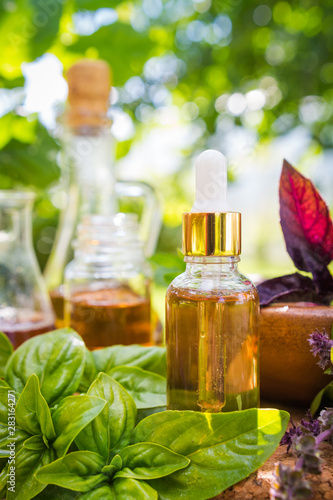 Oil for skin care  massage from natural ingredients  herbs  mint in glass jars and test tubes on a green background in the garden on the nature  natural cosmetics