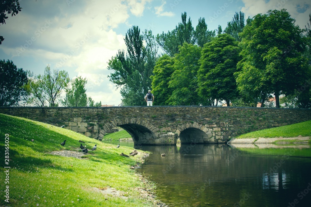 man on the bridge sightseeing