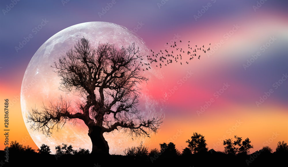 Silhouette of birds with lone tree in the background big full moon at amazing sunset "Elements of this image furnished by NASA" - obrazy, fototapety, plakaty 