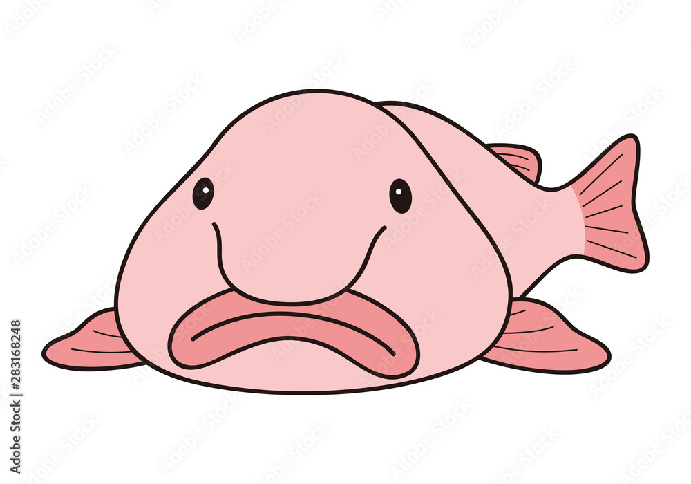ブロブフィッシュ ニュウドウカジカ 深海魚 キャラクター ベクターイラスト ブロブフィッシュ ニュウドウカジカ 深海魚 キャラクター ベクターイラスト